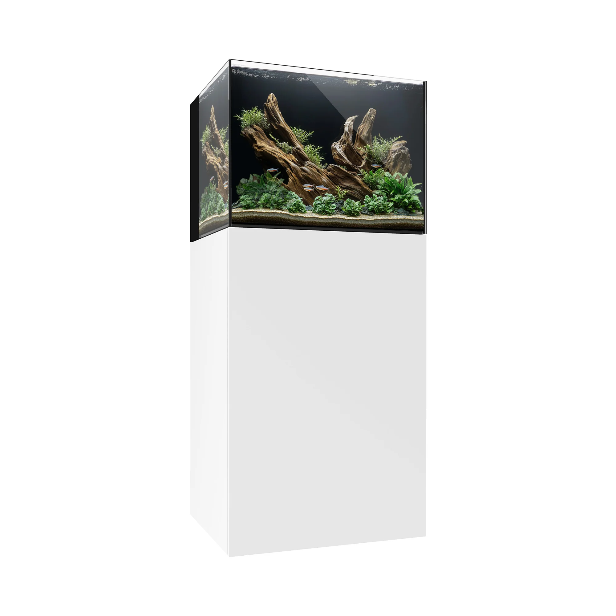 Freshwater Aquariums