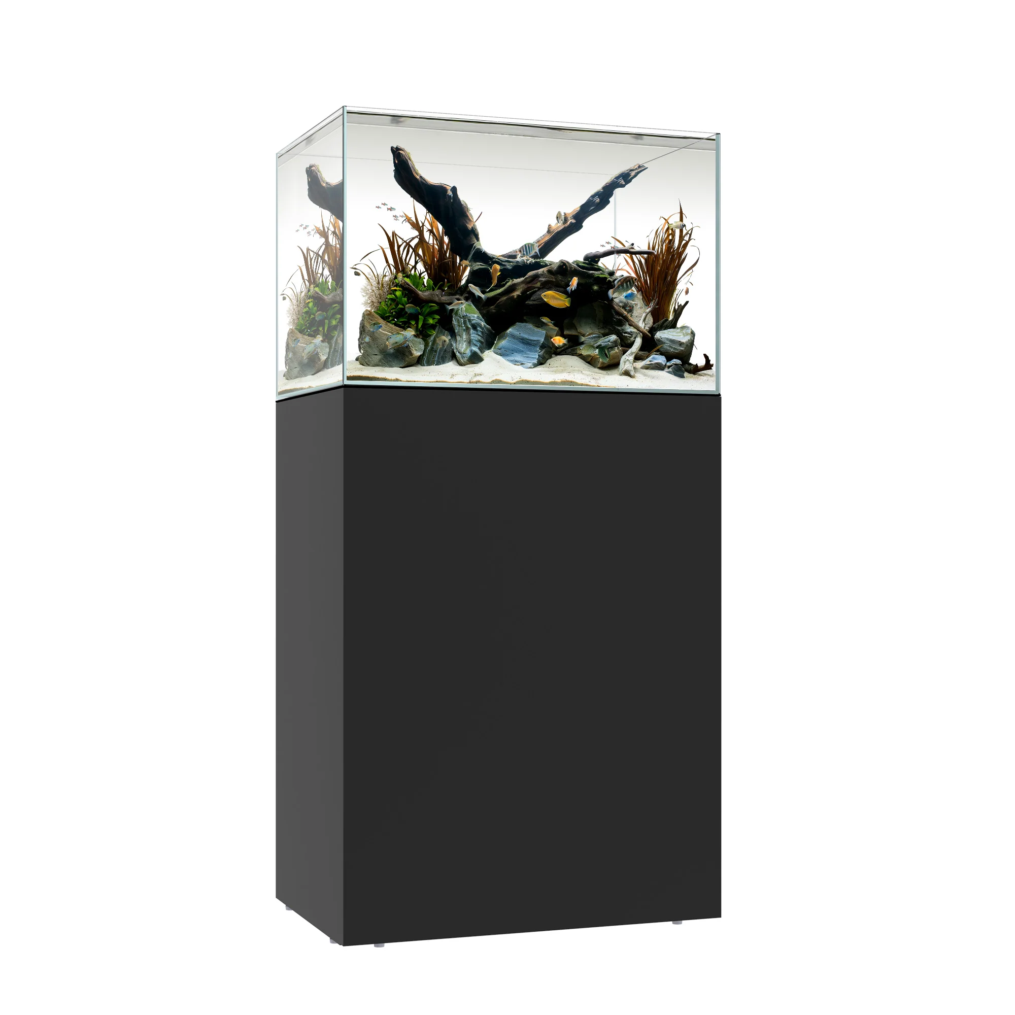 CLEAR MINI 25 - Image 3