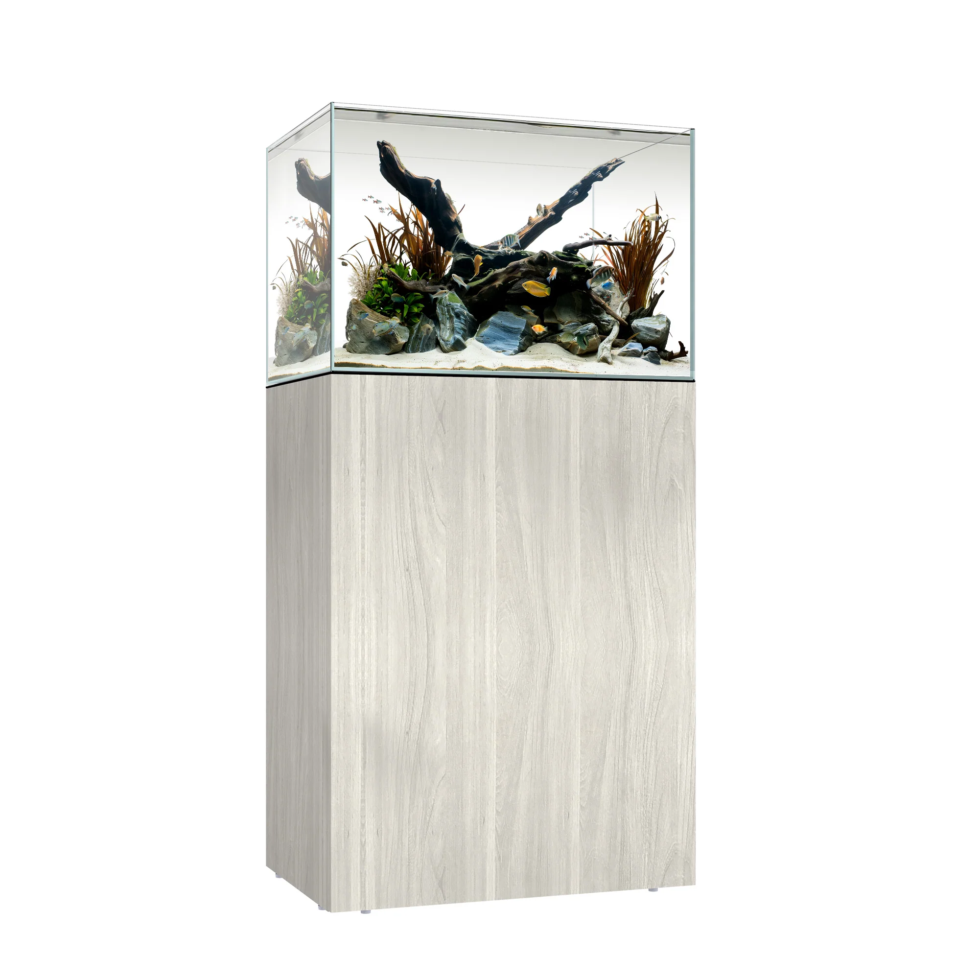 CLEAR MINI 25 - Image 4