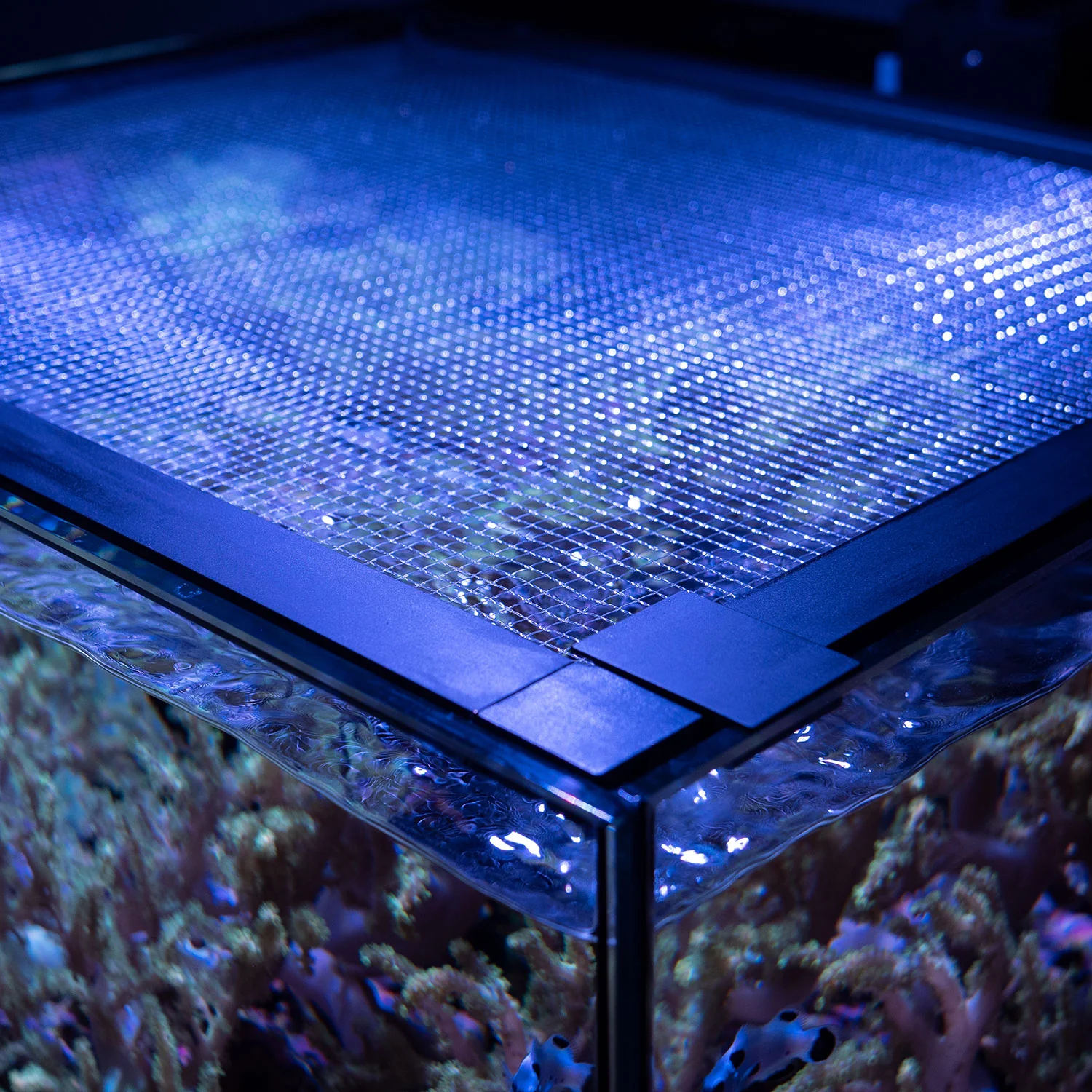 Mesh Lid System - Image 3