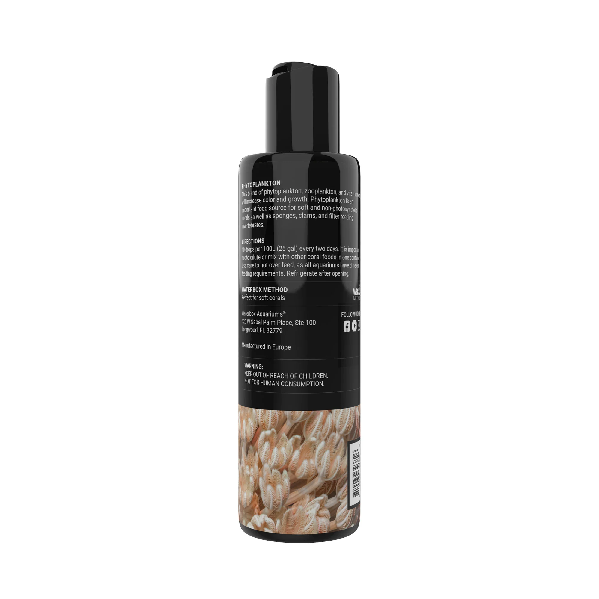 Phytoplankton - Image 2