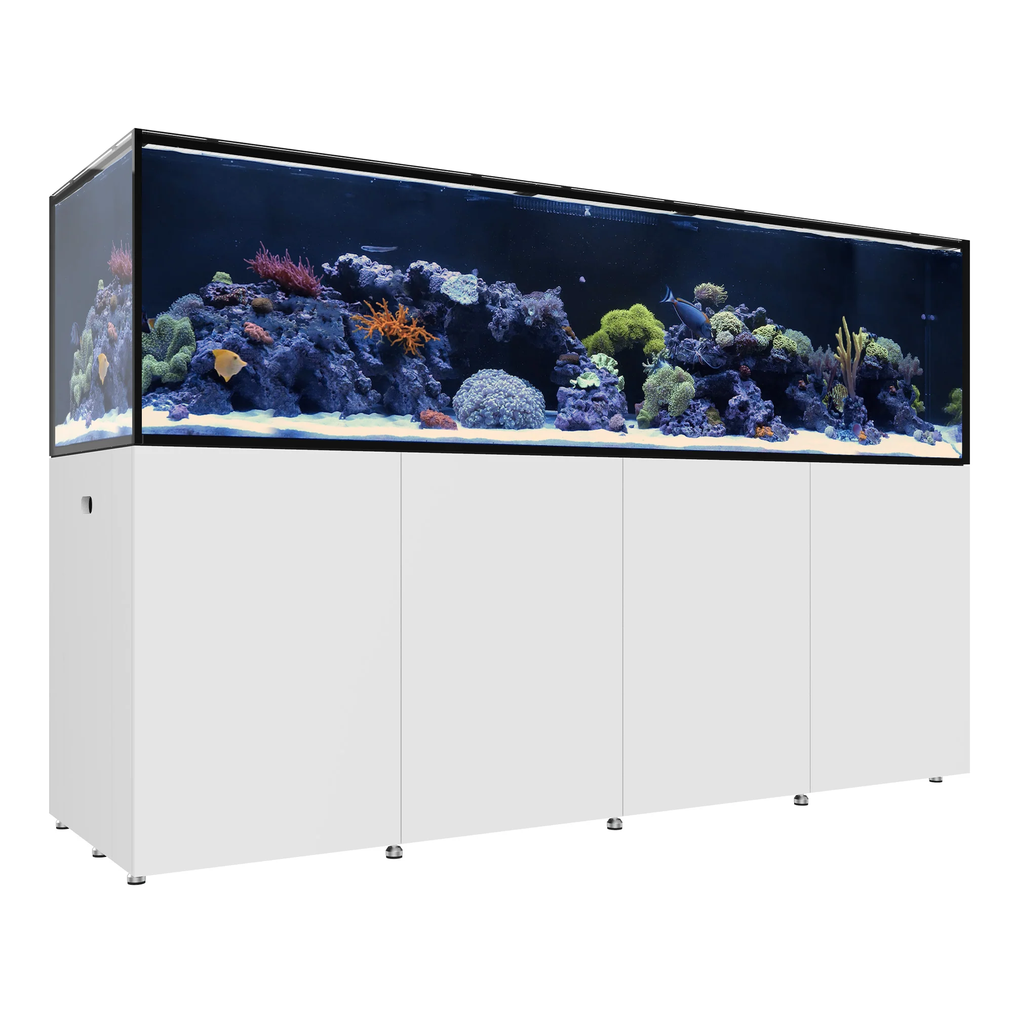 Saltwater Most Popular