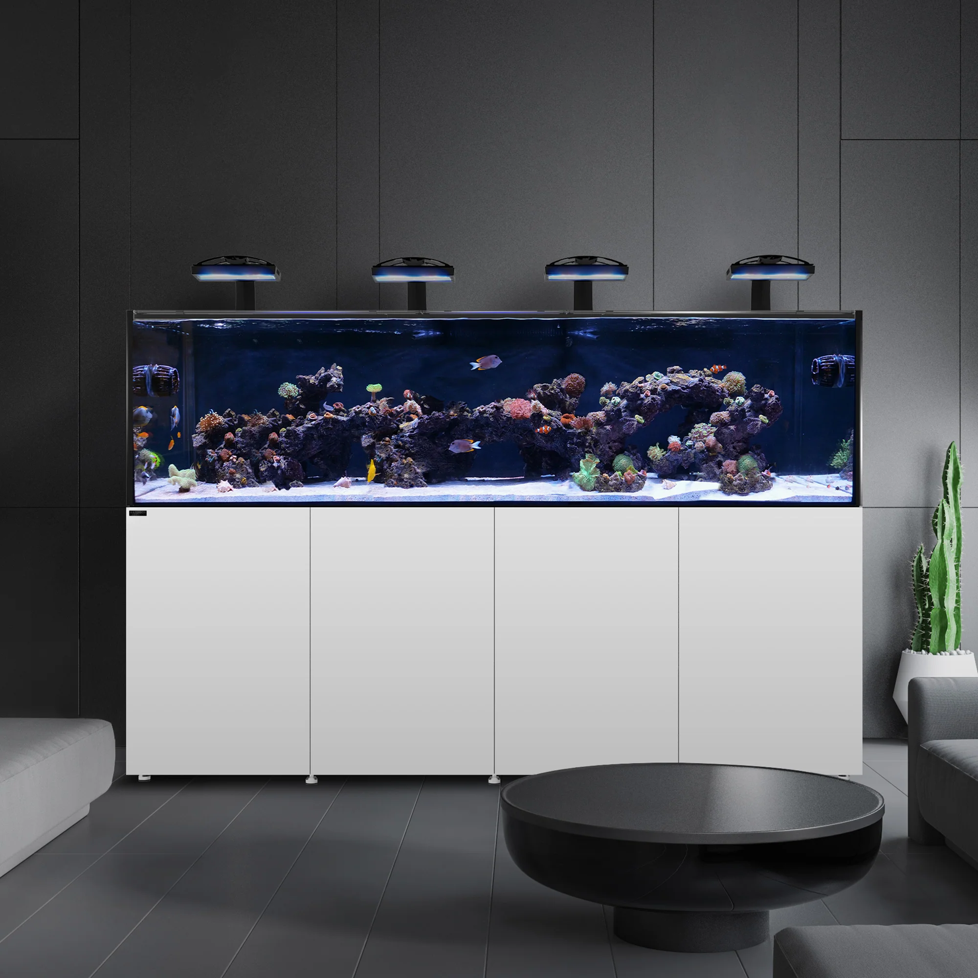 REEF LX 380.8 - Image 4