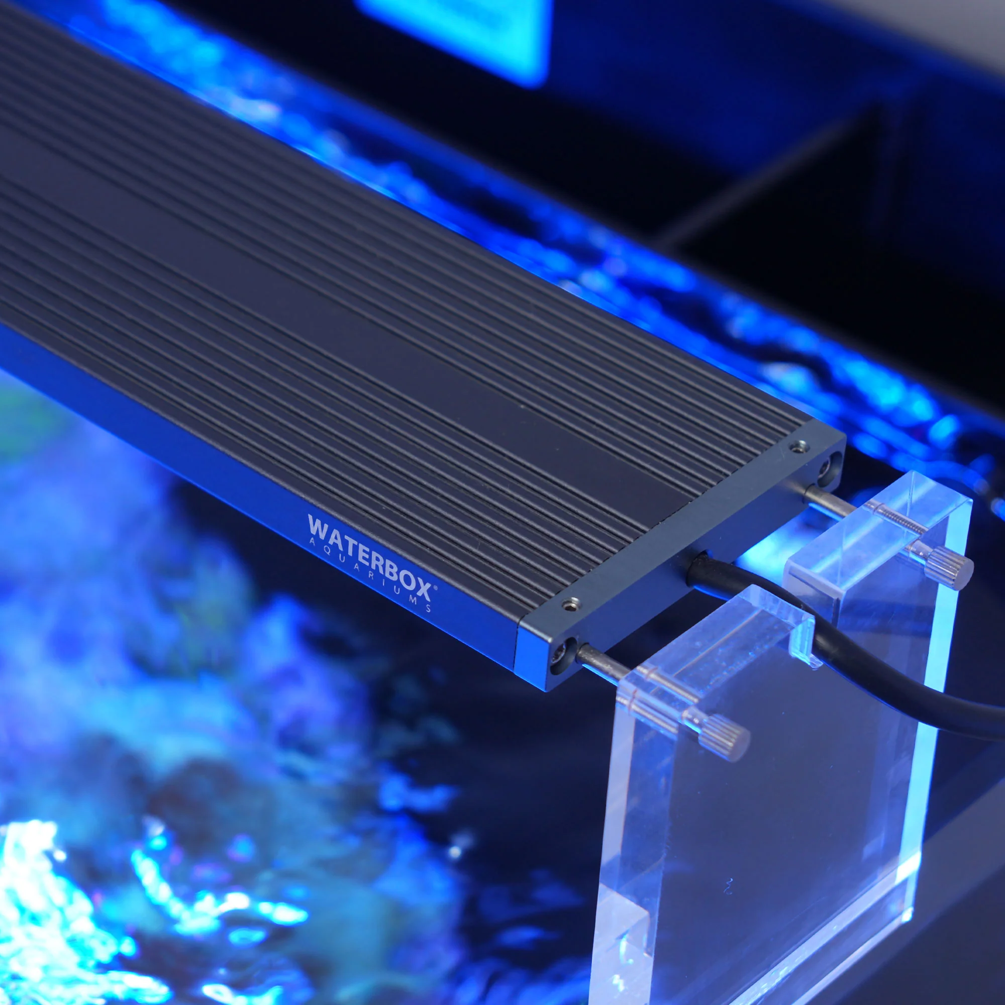 Saltwater LED Lighting System (SLED) - Image 5
