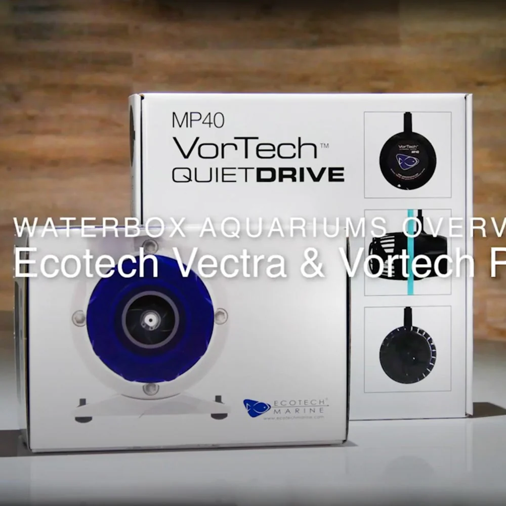 VorTech - Image 3